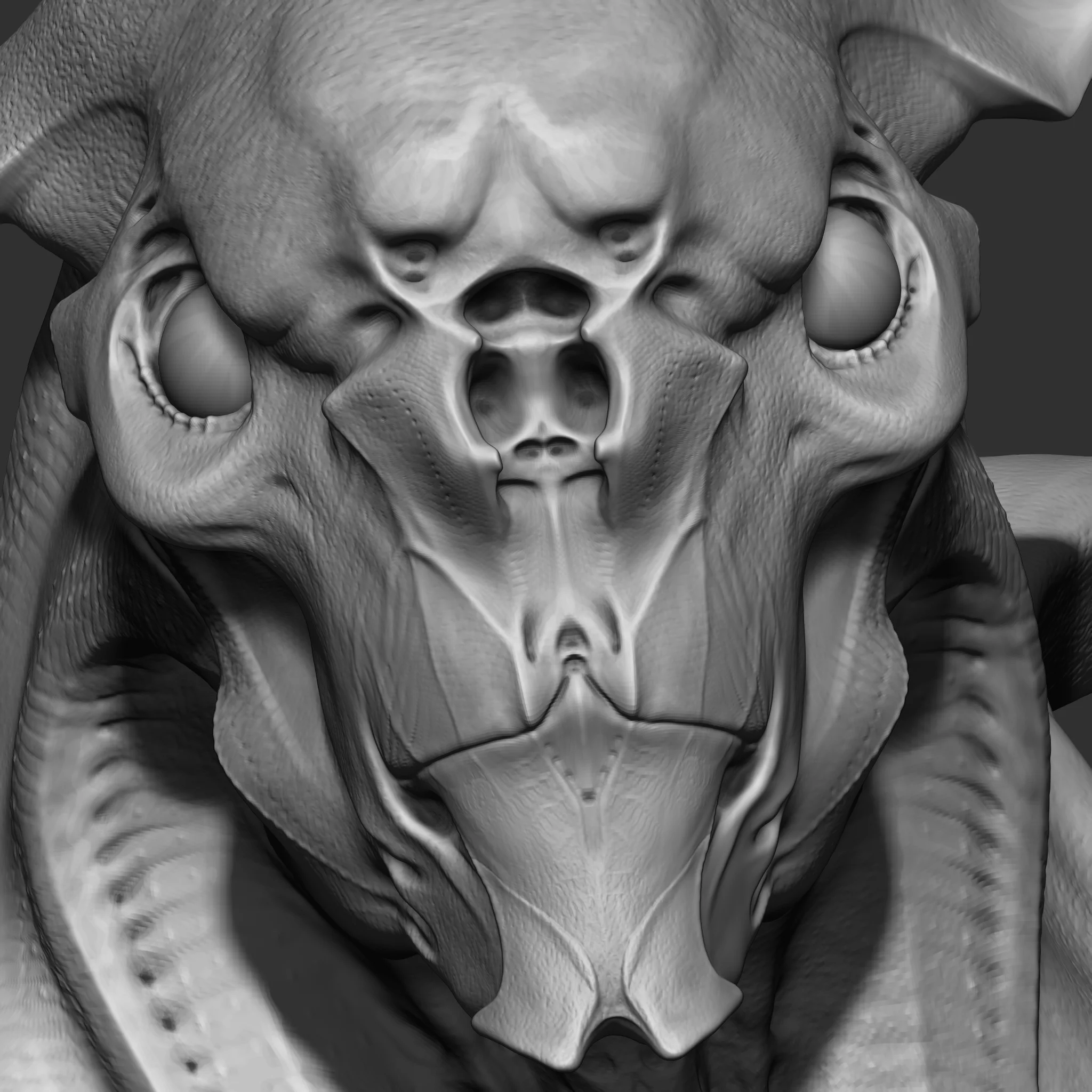 close_up_02.jpg