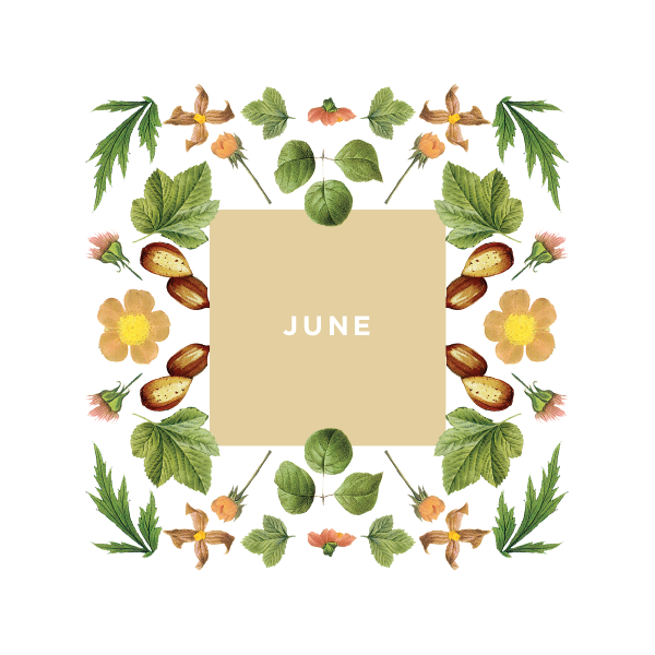 FlowerCollage_June-02.png