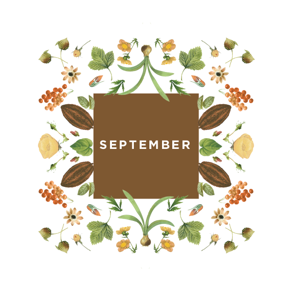 FlowerCollage_Sept-04.png
