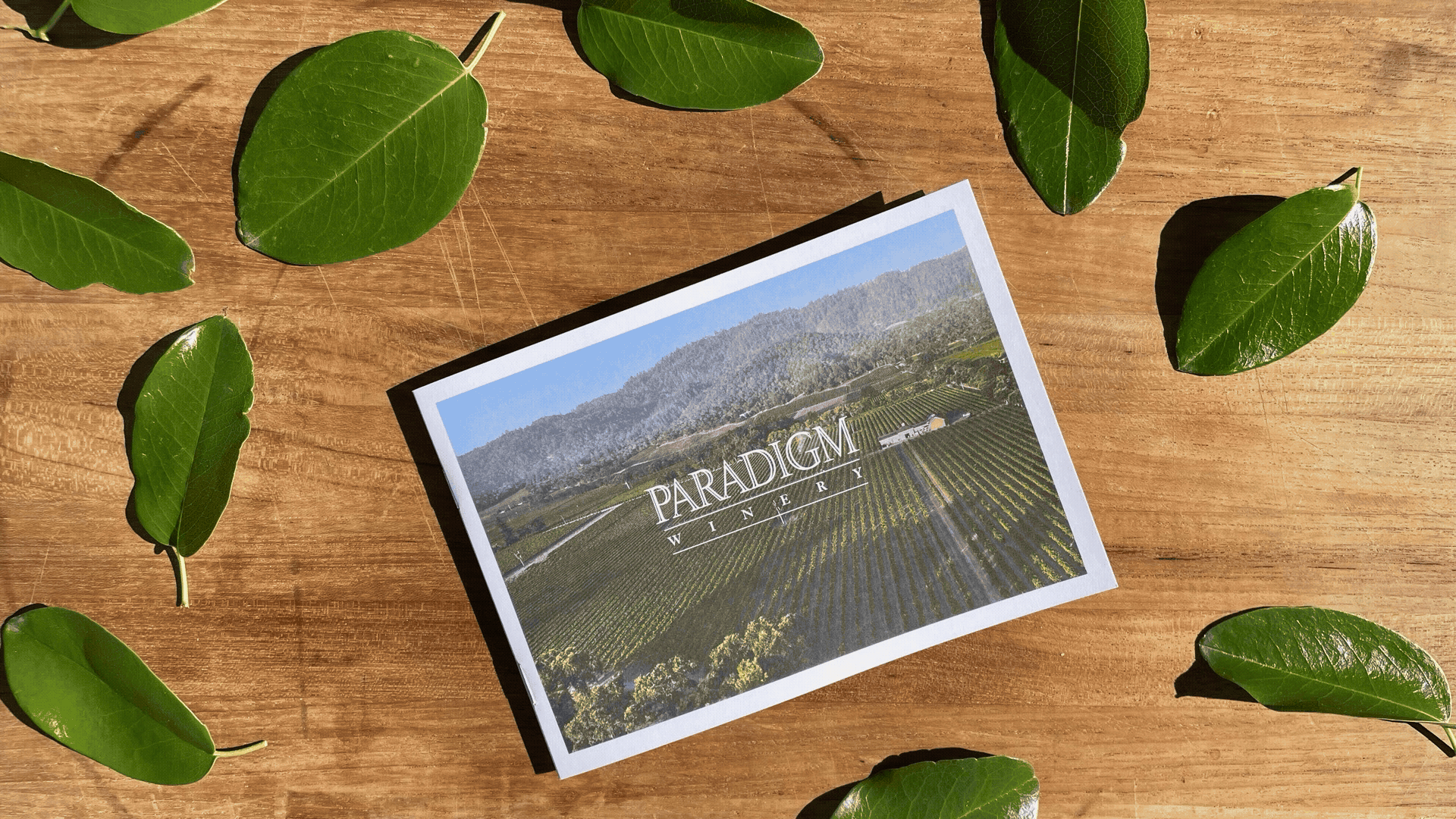 EvaEnger_ParadigmWinery_GraphicDesign.gif