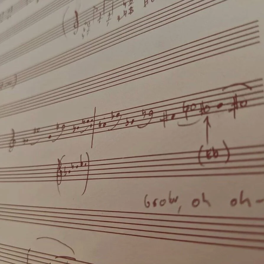 New blog: “Practicing curiosity"
