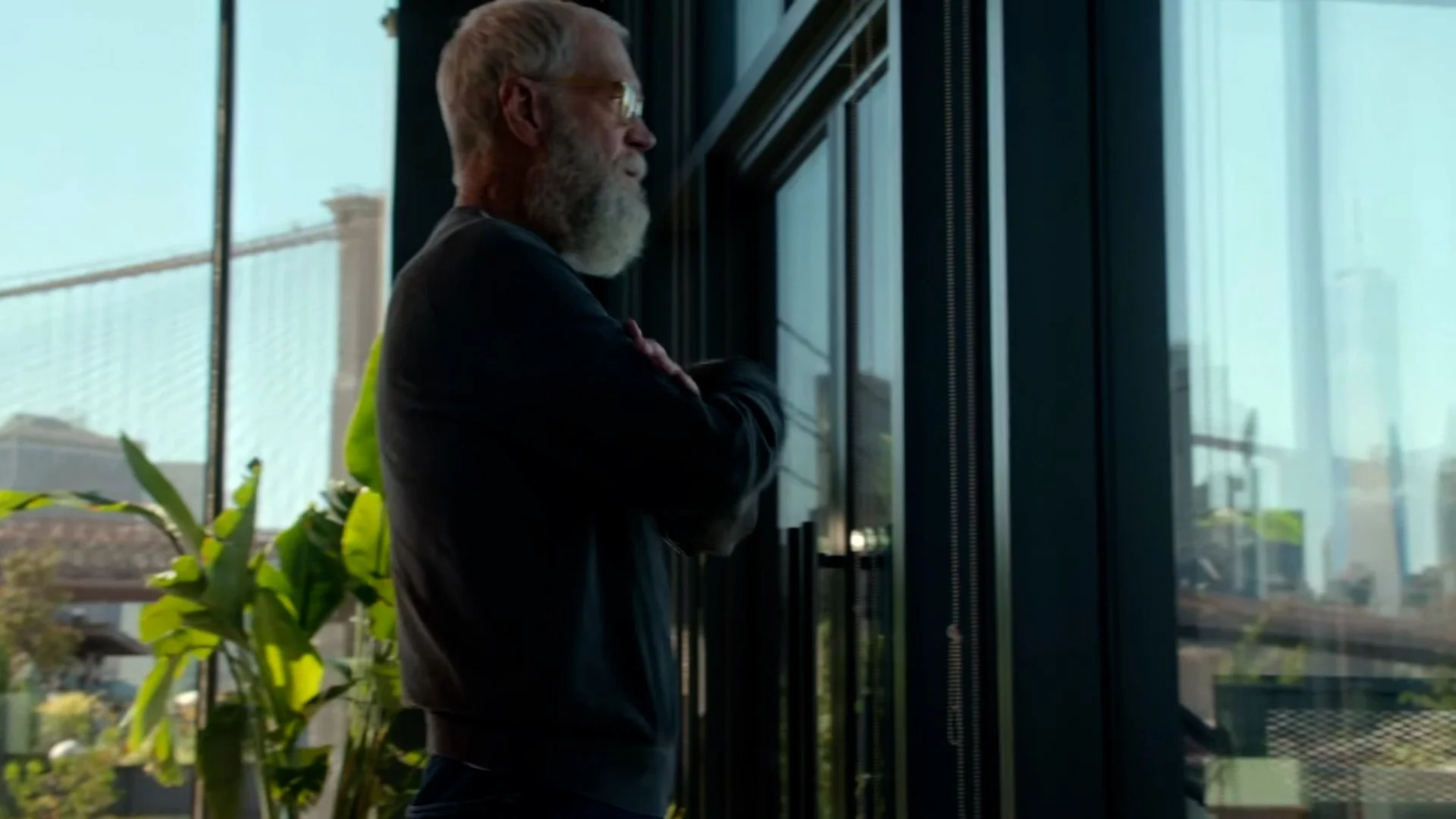 David Letterman screen grab.jpg