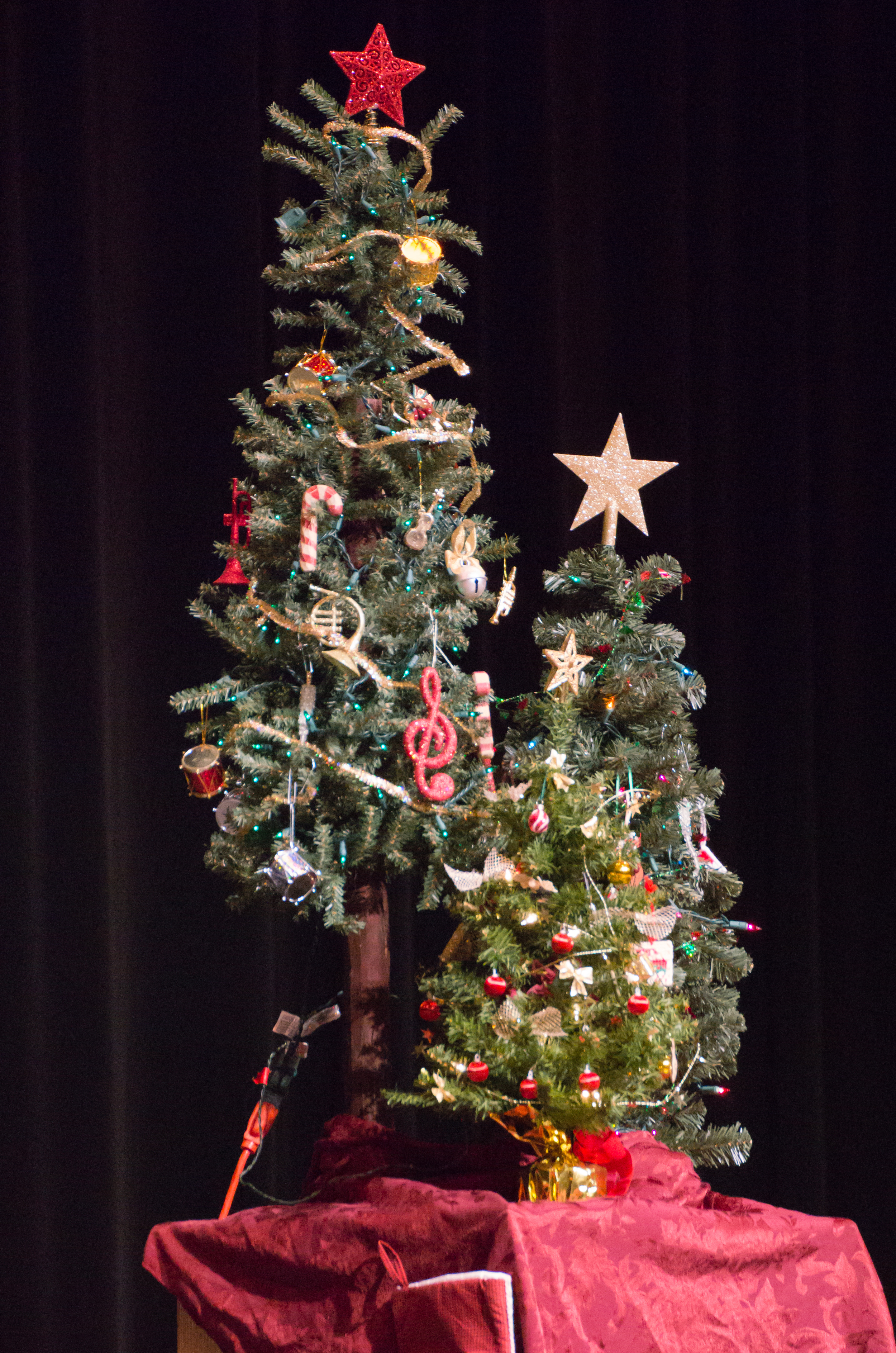 2014-12-13 Holiday Performance-20.jpg
