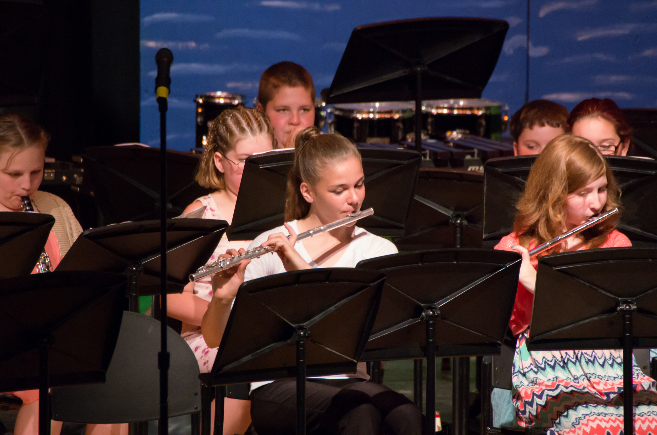 2015-05-14 Spring Arts Concert-14.jpg