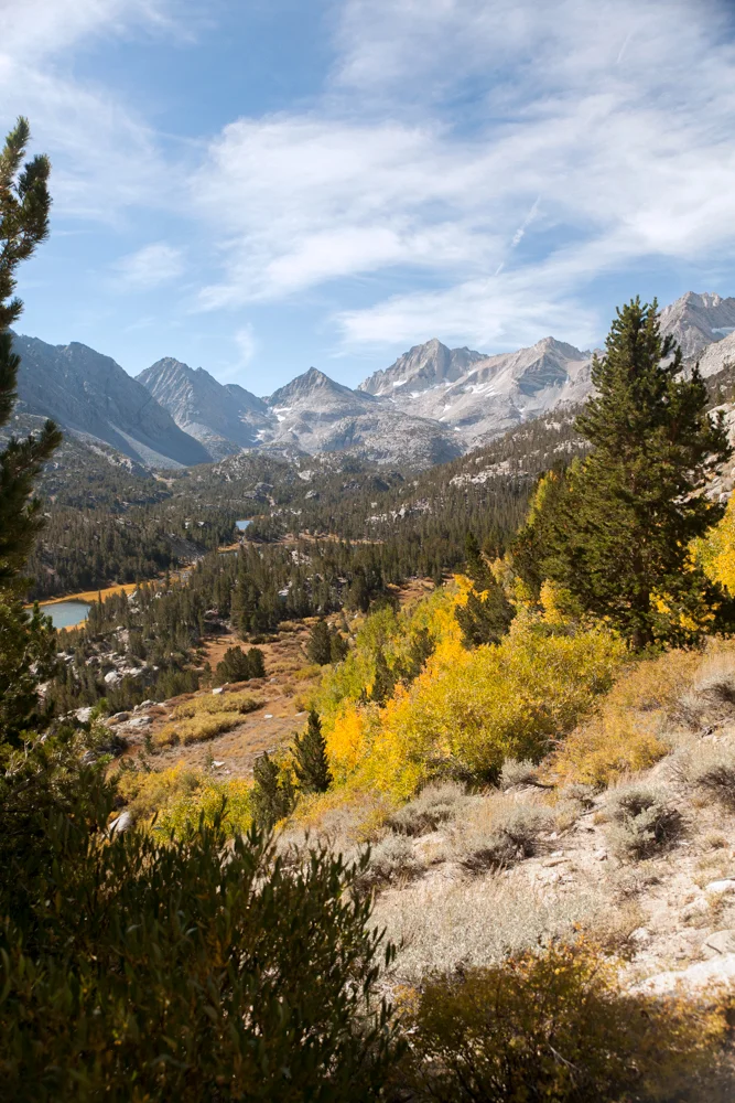 _MG_4566.jpg