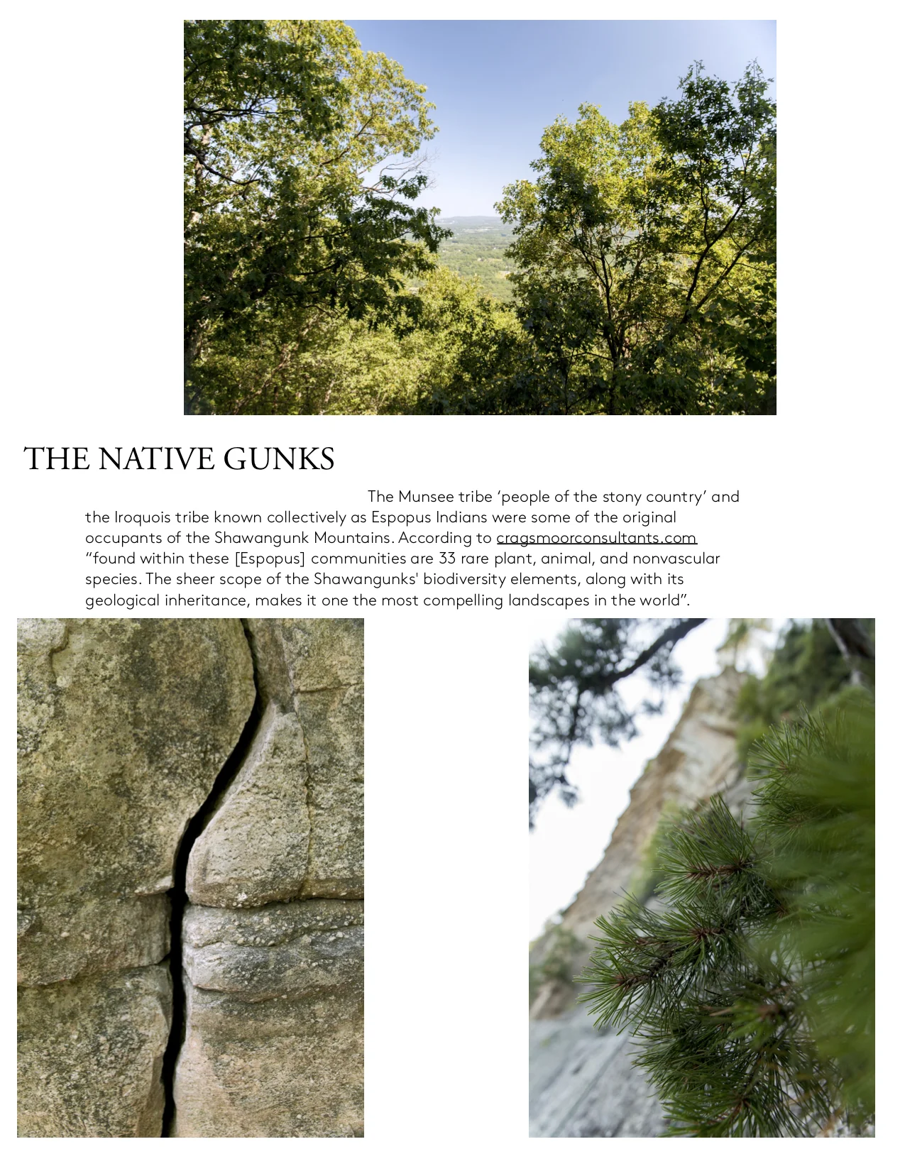 Backcountry+DO Womens Climbing content assets_pg6.jpg