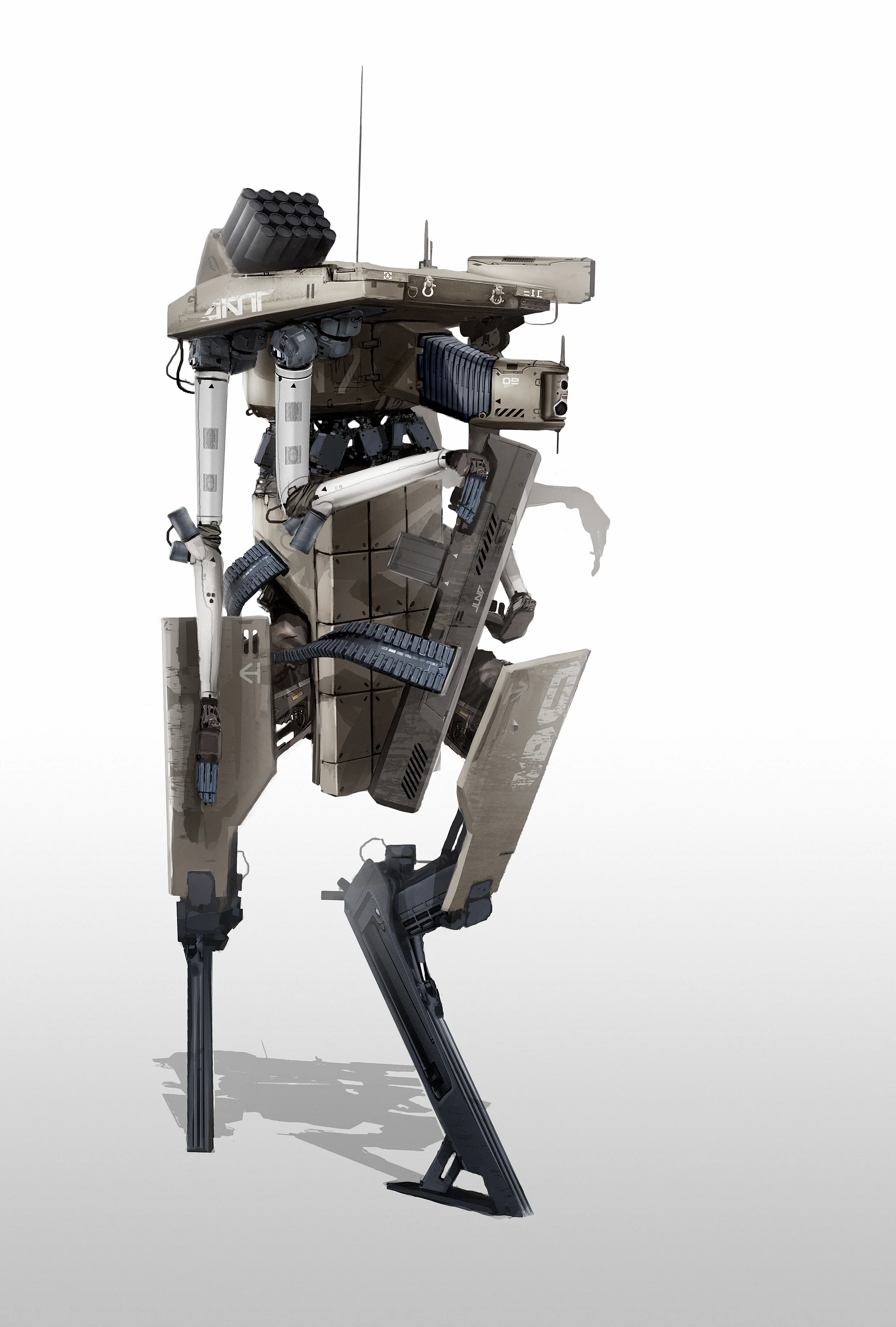 muleCOD-final1.jpg
