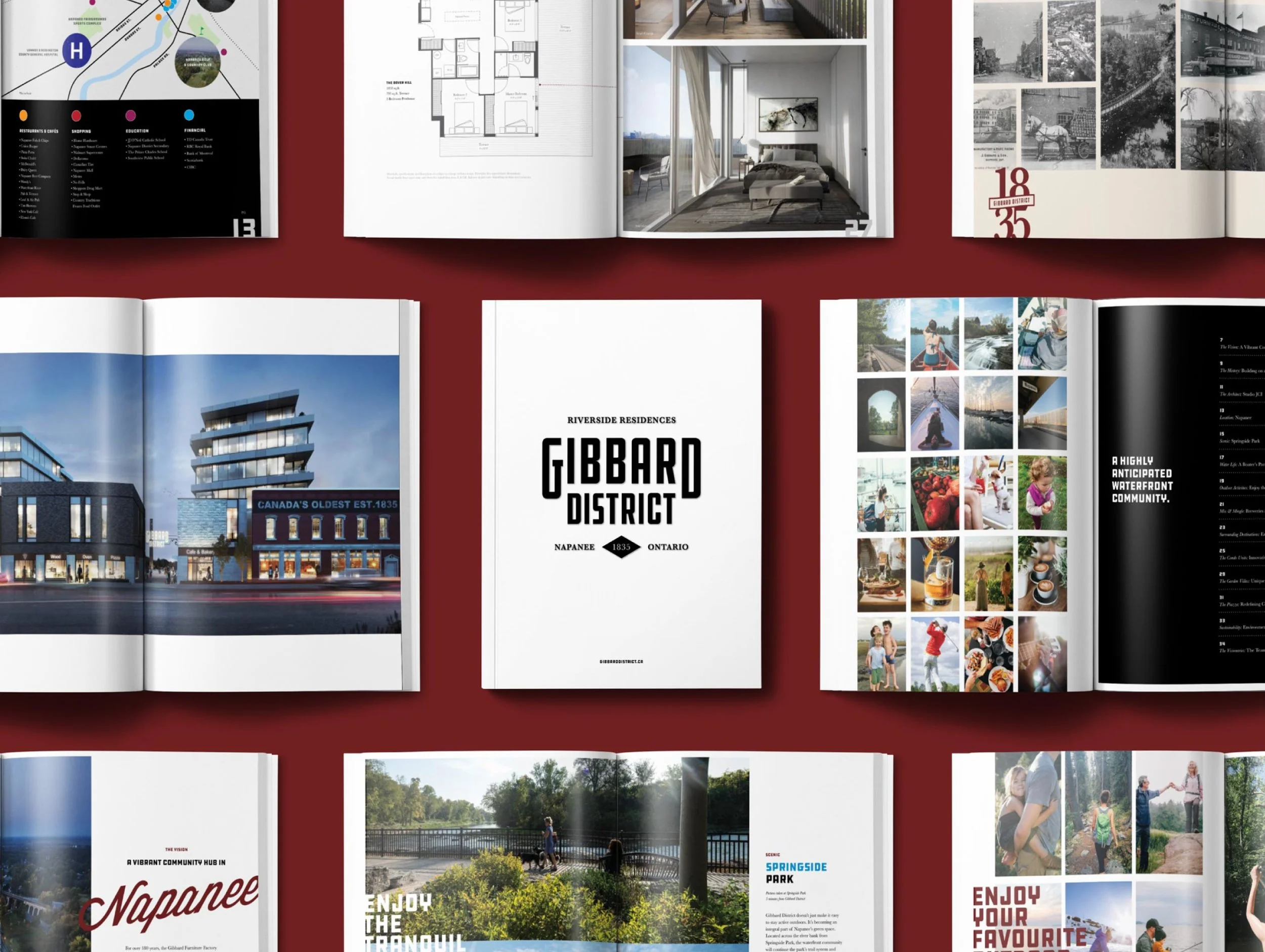 Gibbard-4.jpg
