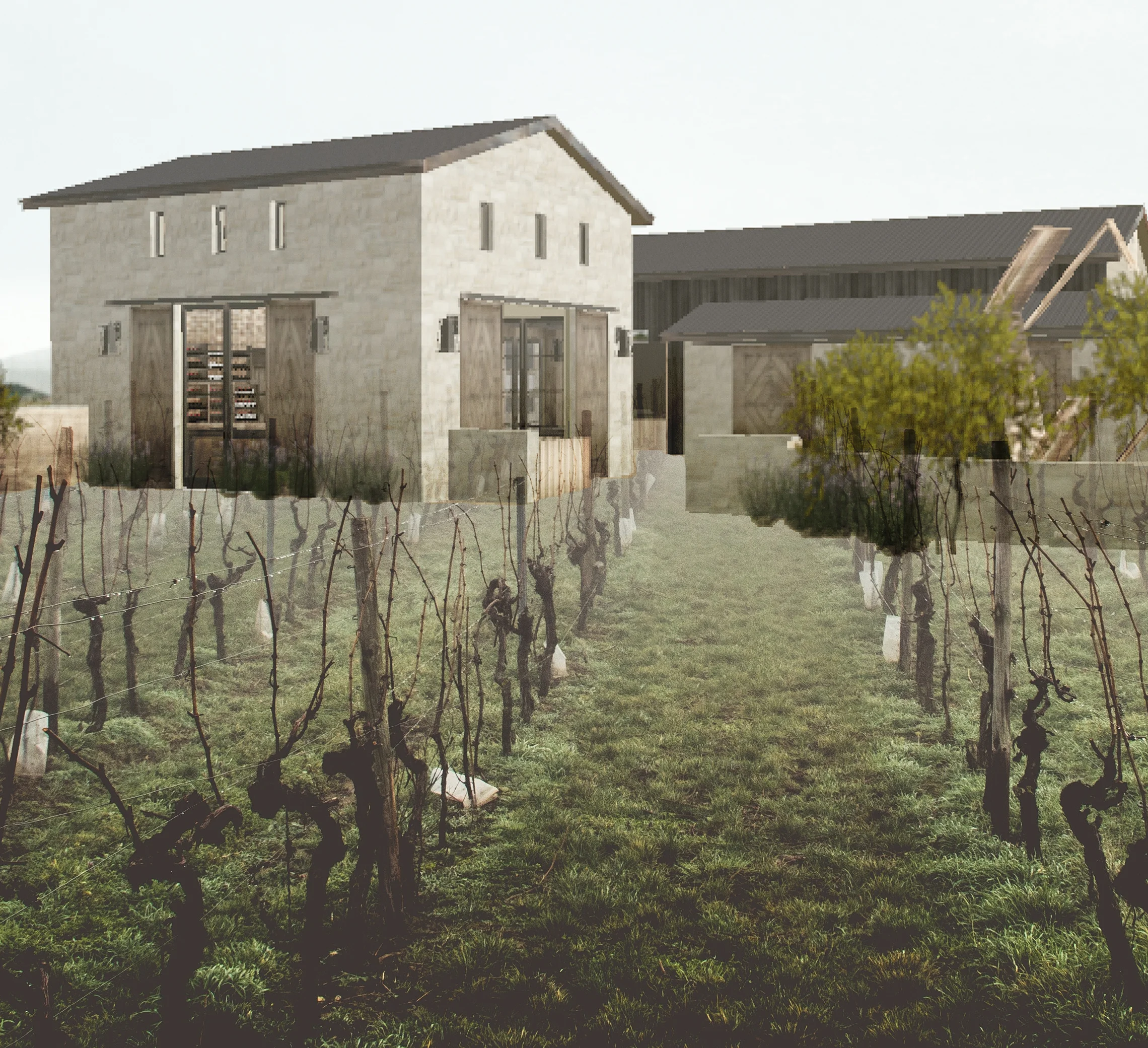 Small Napa Winery Concept 4.jpg
