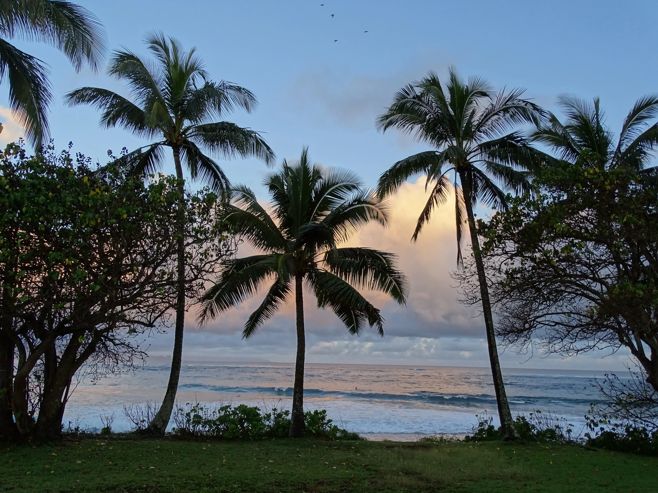 sunrise from the backyard