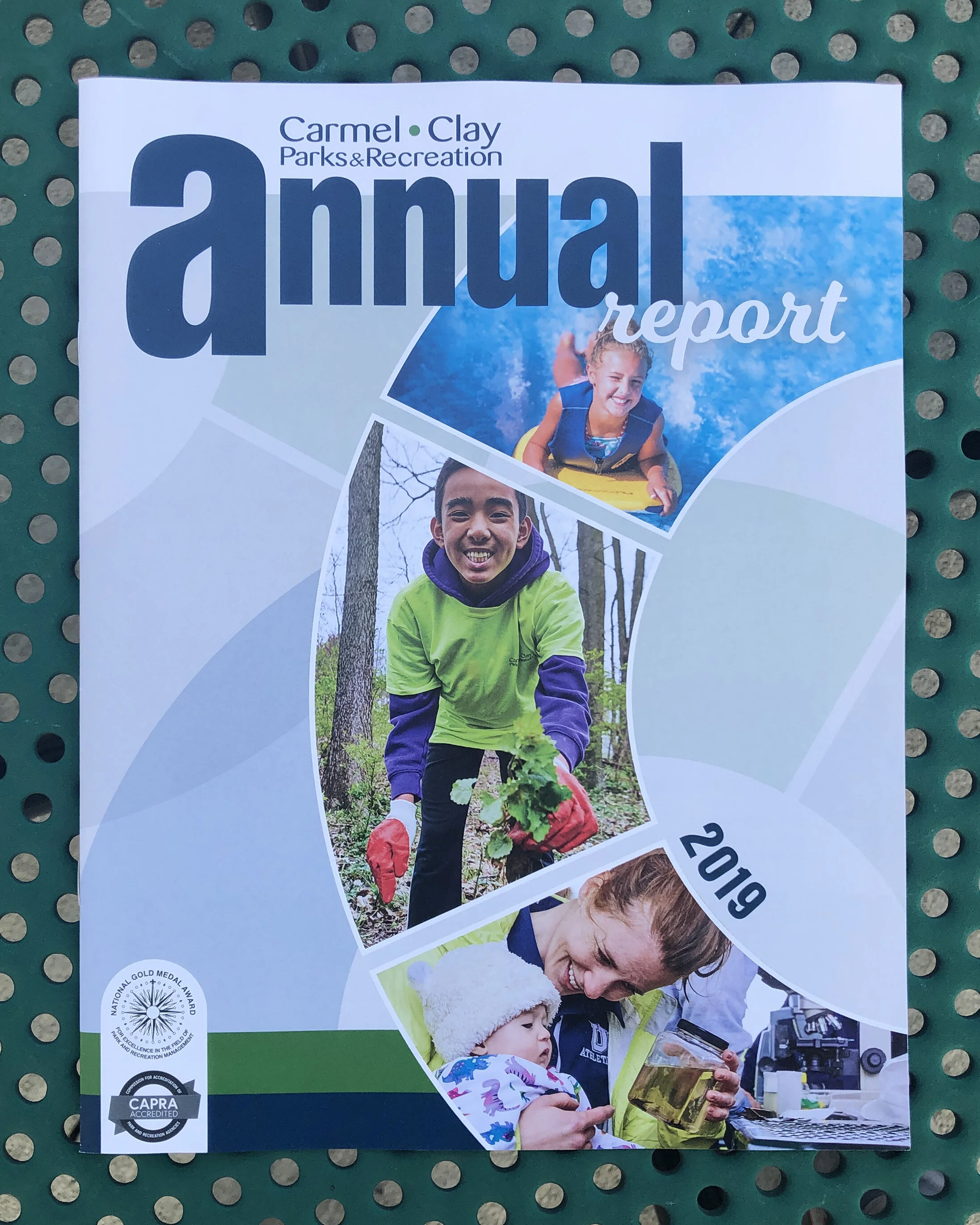 PB-2020-Website-CCPR-Publications-Annual-Report-Cover copy.jpg