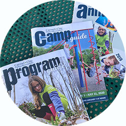 PB_2017_website_CCPR-Publications_thumb.jpg