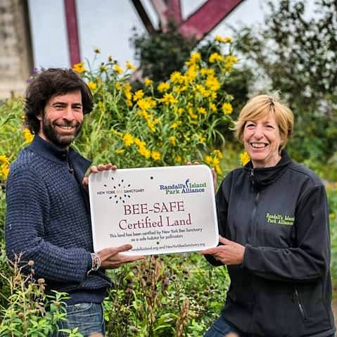 I have a big news!

My organization, New York Bee Sanctuary have announced that Randall&rsquo;s Island Park has been officially recognized as a BEE SAFE Pollinator Friendly site, the first park in New York City to receive such a prominent recognition