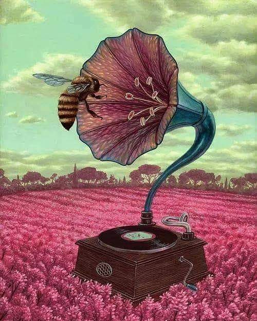 Flowers are music to bees...