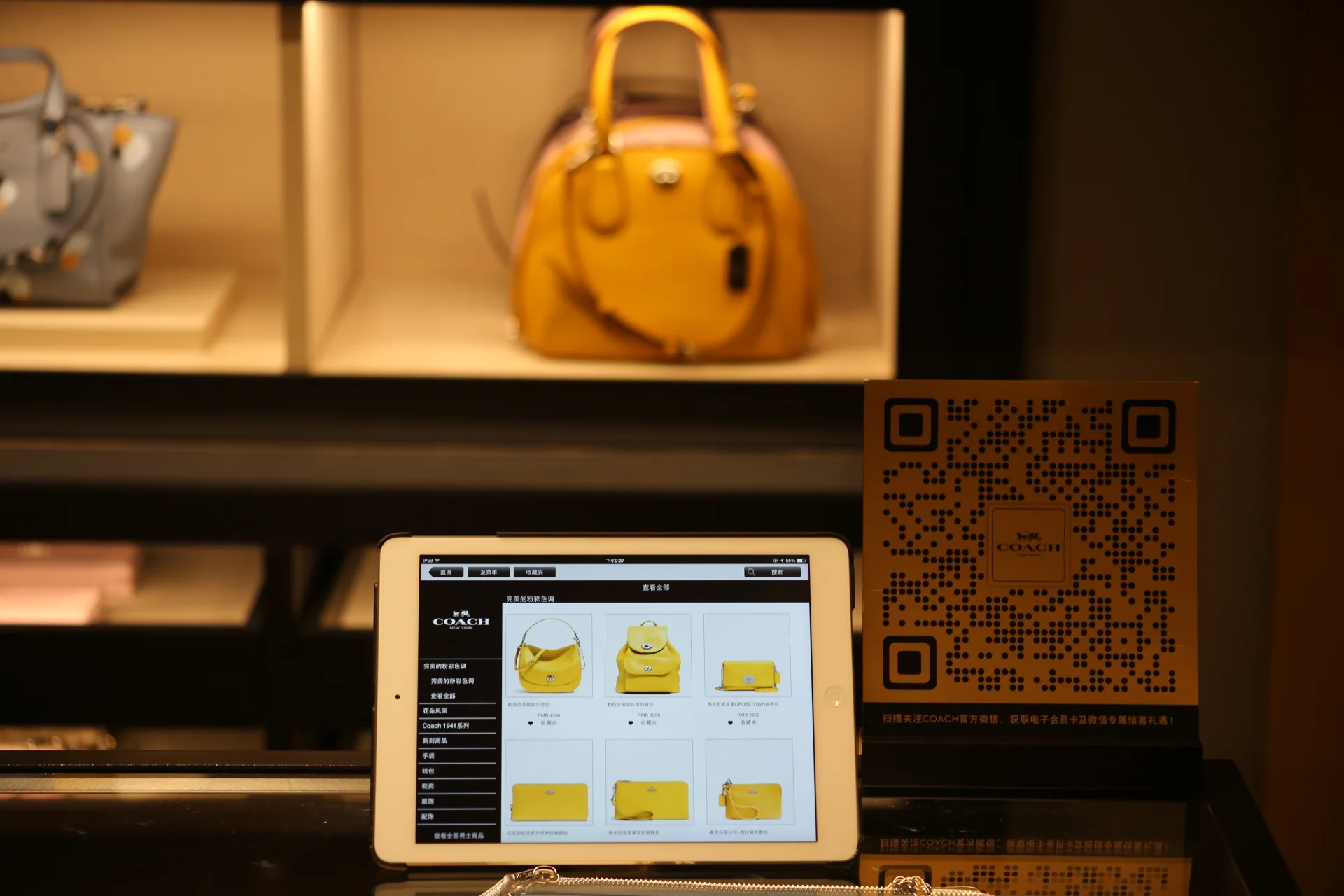 Digital technology in-store - making the most of smart devices in customers' & sales assistants' hands 