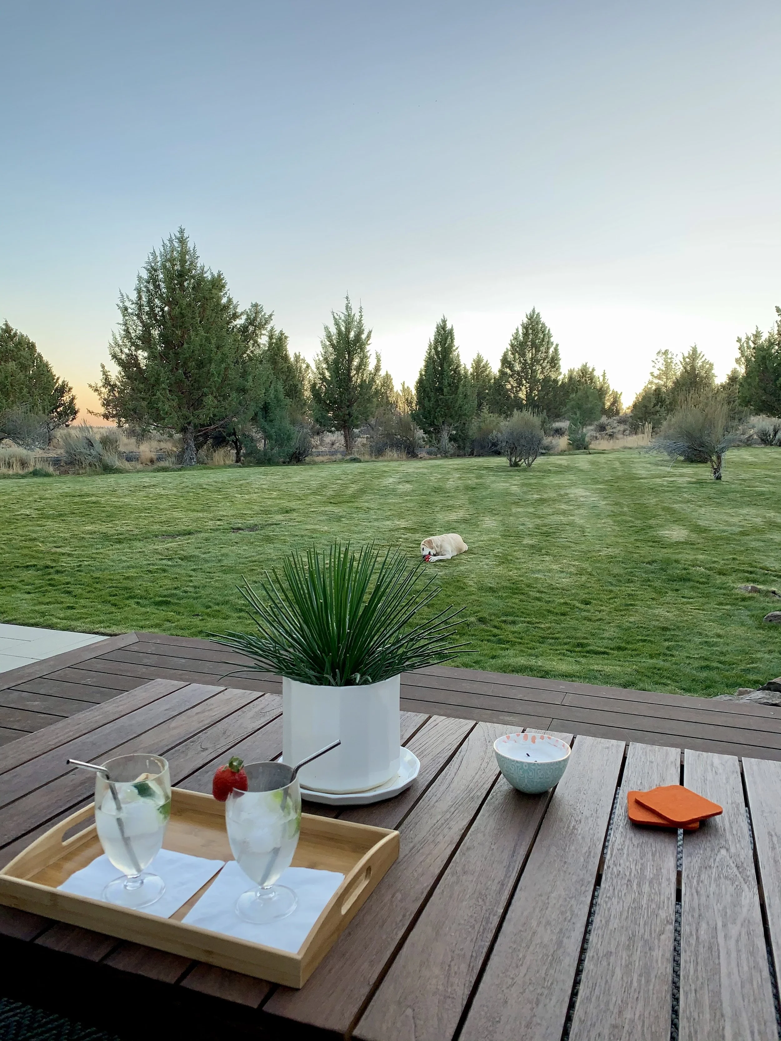 FullSizeRender 4.jpeg