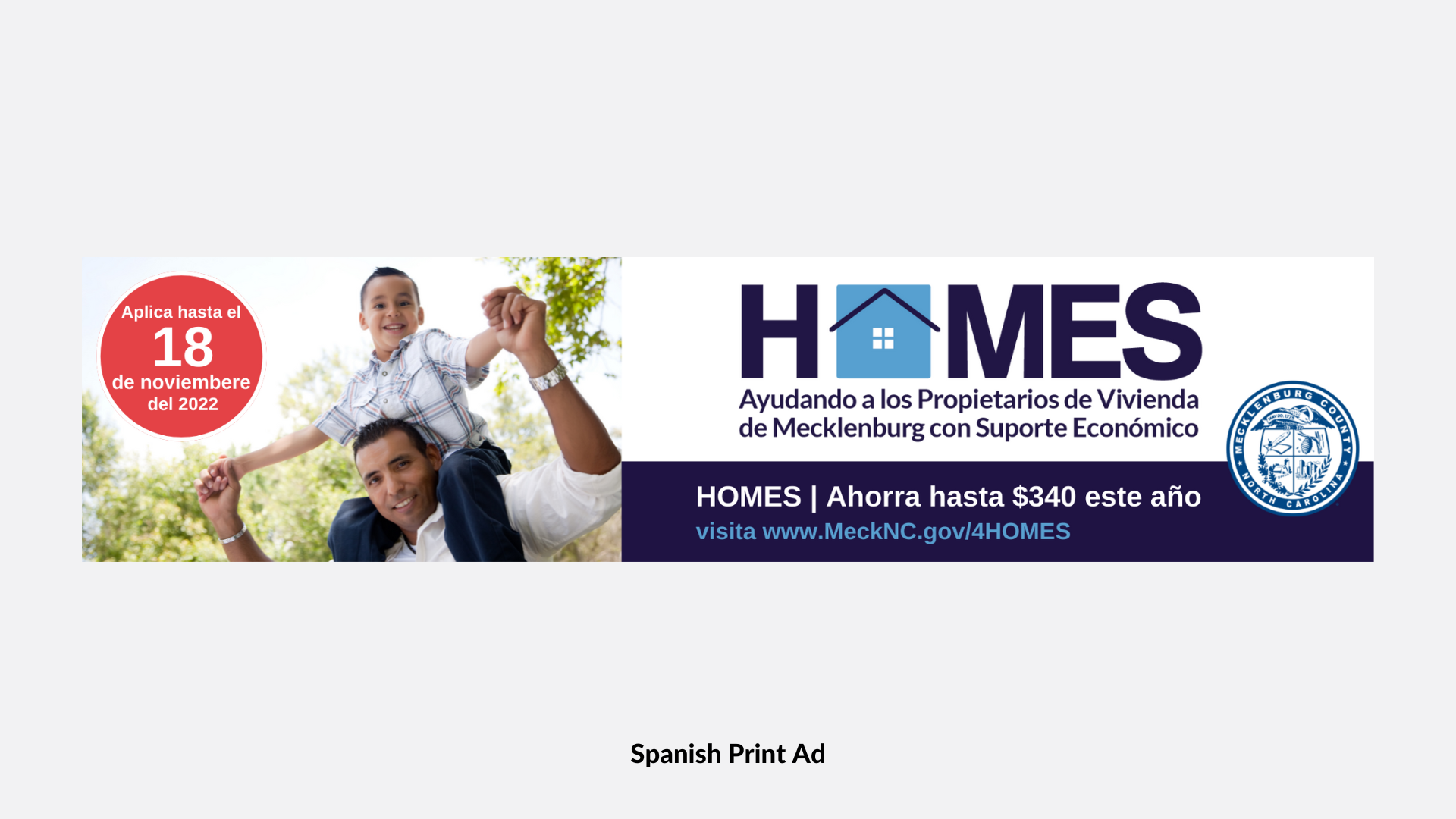 MDC Website Slide 4 HOMES.png