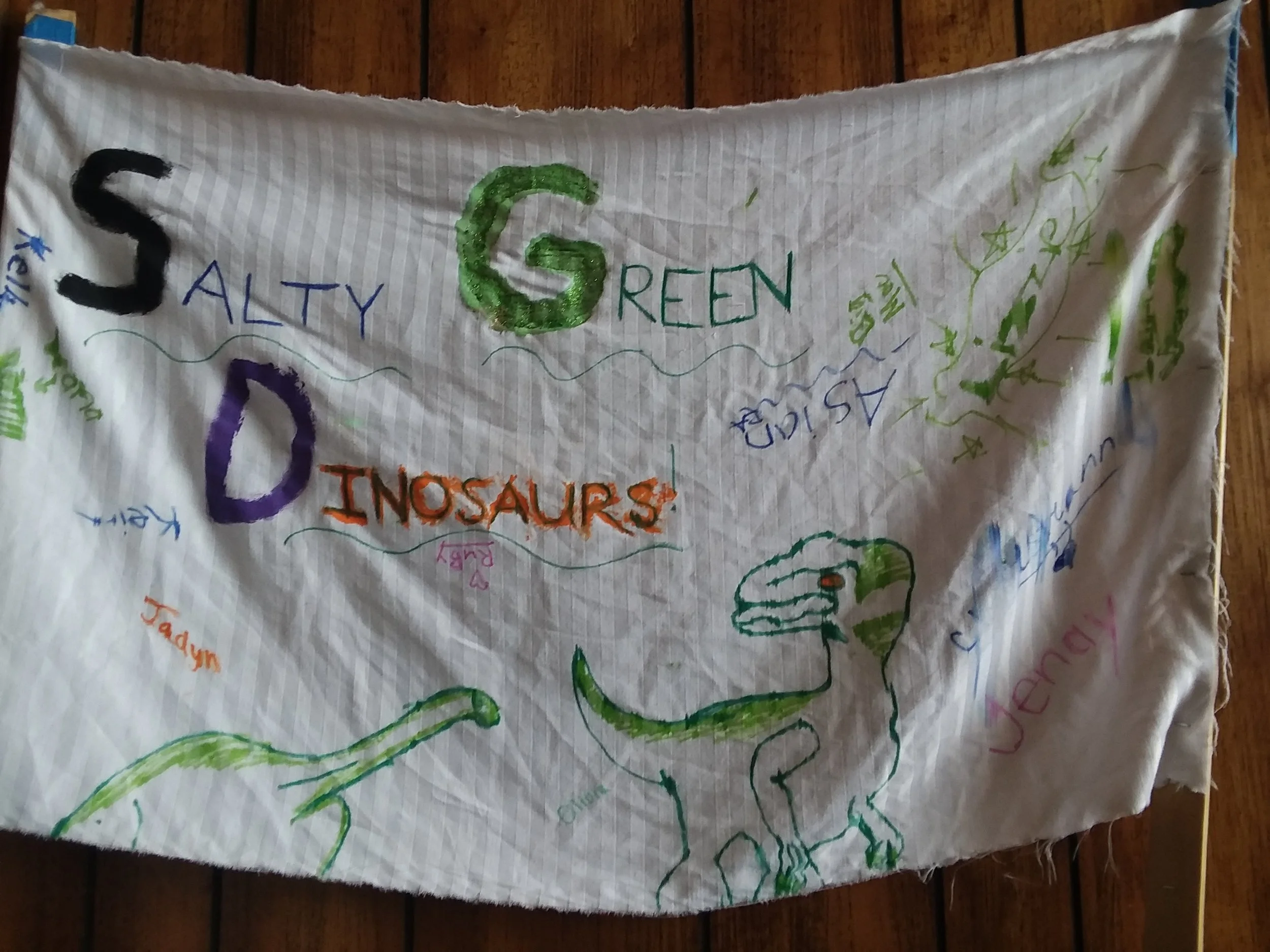 The Salty Green Dinosaurs - Lead by Jenay Zelinka and Kelly Carroll (Cabin 17) - Fourth Place!