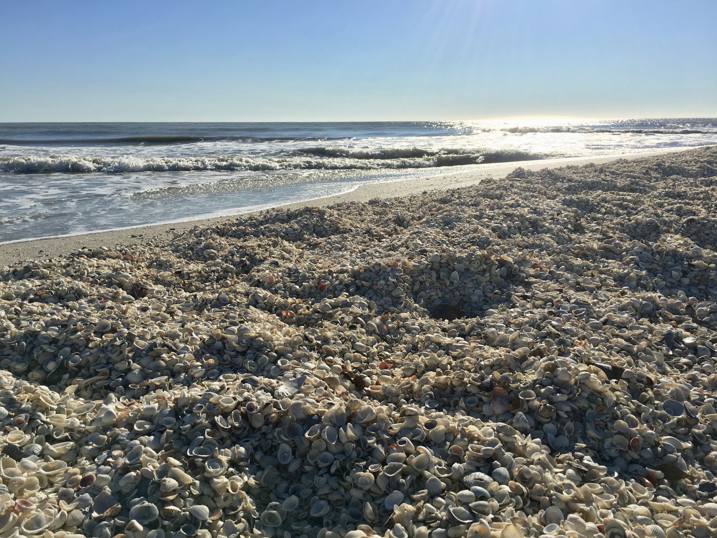 MOUNTAINS OF SHELLS