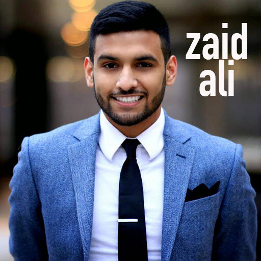 Zaid Ali T | 2015 Featured Artist