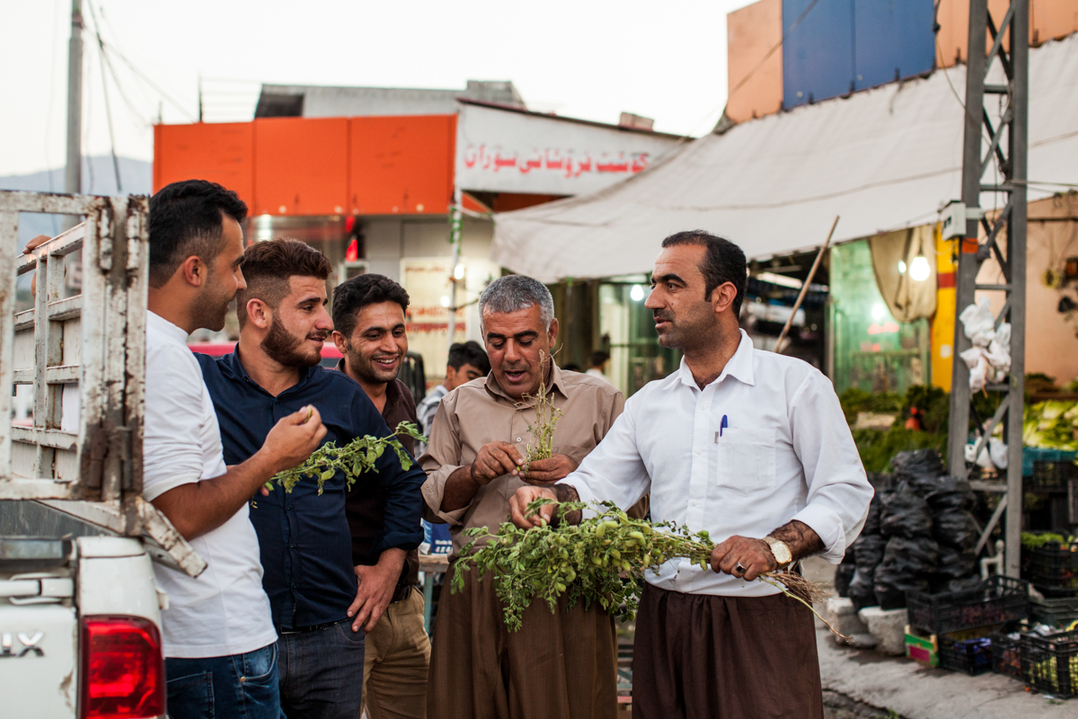  Soran city bazaar (2016). 