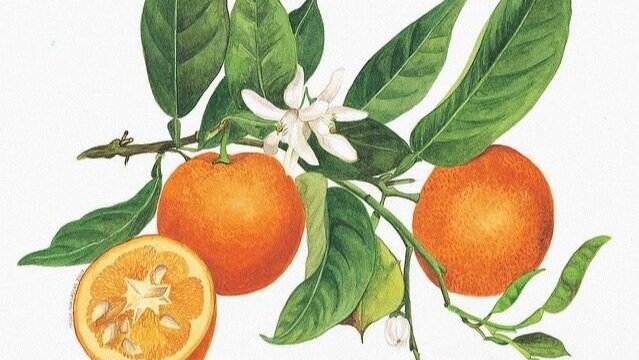 deebecbe66b234132eaaf024f965e0f1.jpg