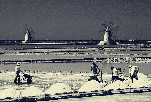 Harvesting Salt in the Trapani Sicily Salt pans (windmills are used to grind the salt)