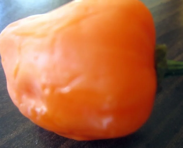 Habanero Key Lime Pie with Crispy Pork Bits — Naturiffic Gourmet BBQ