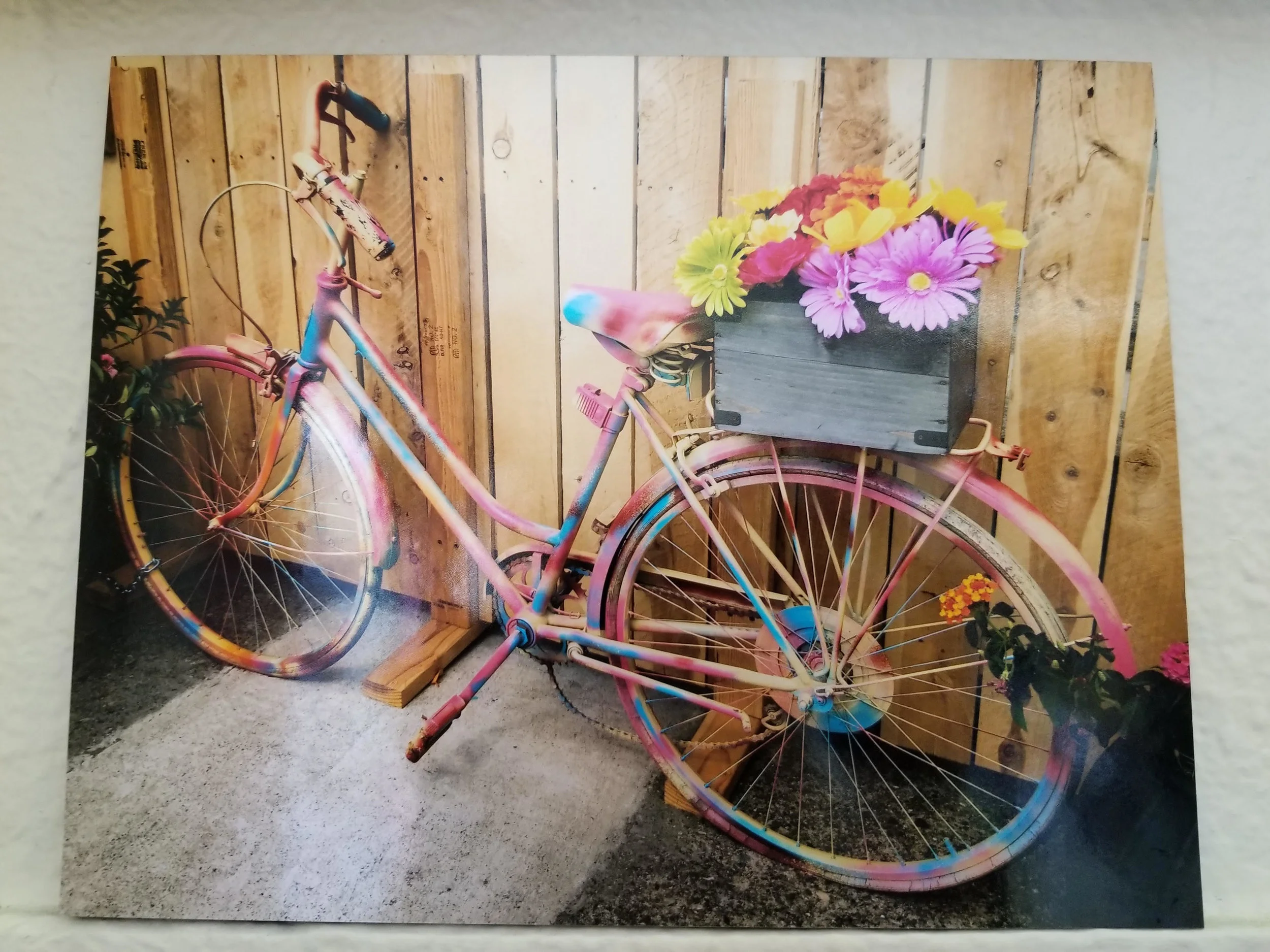 Rainbow_Bike_Photo.jpg