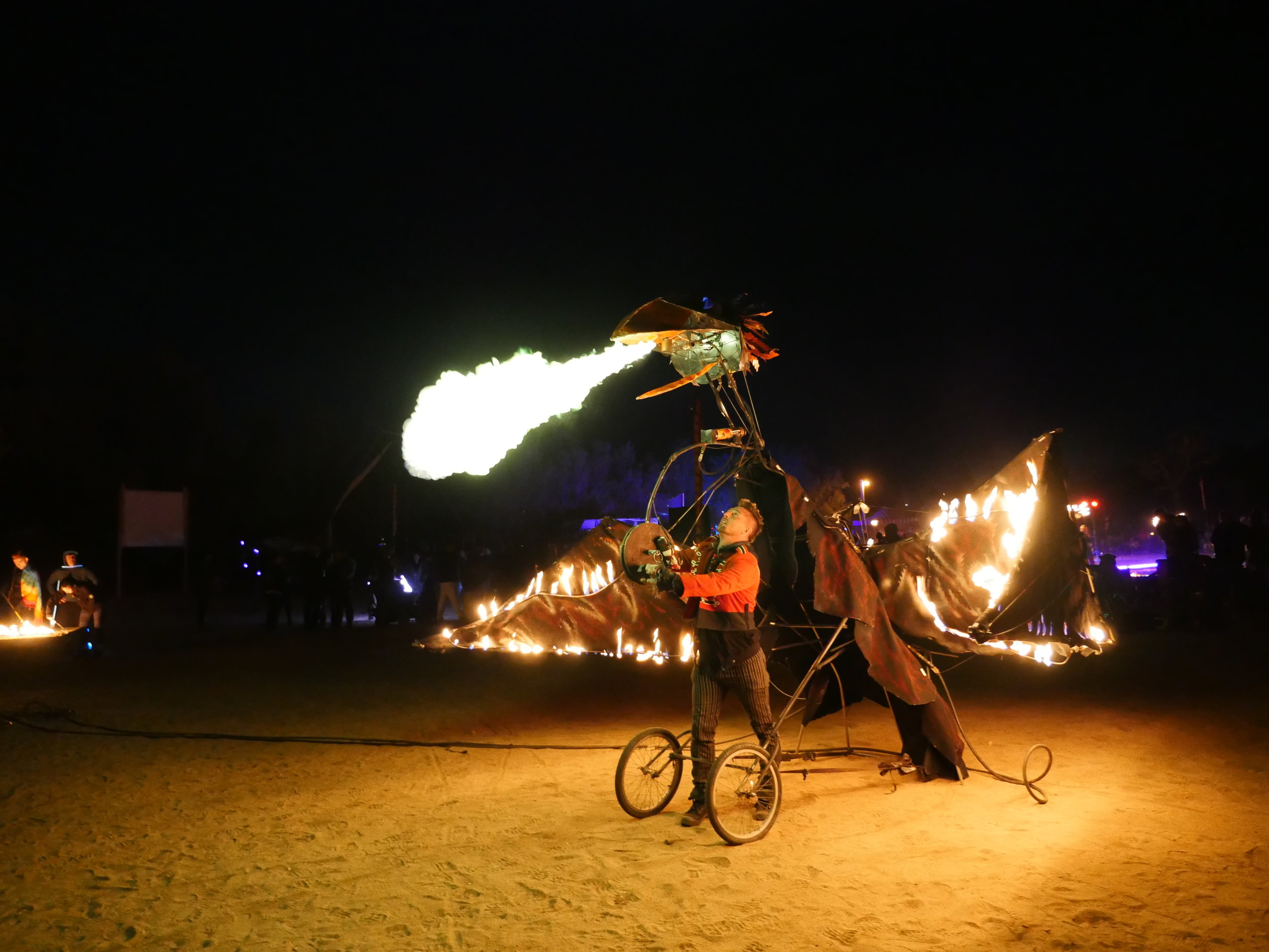 Firebird.JPG