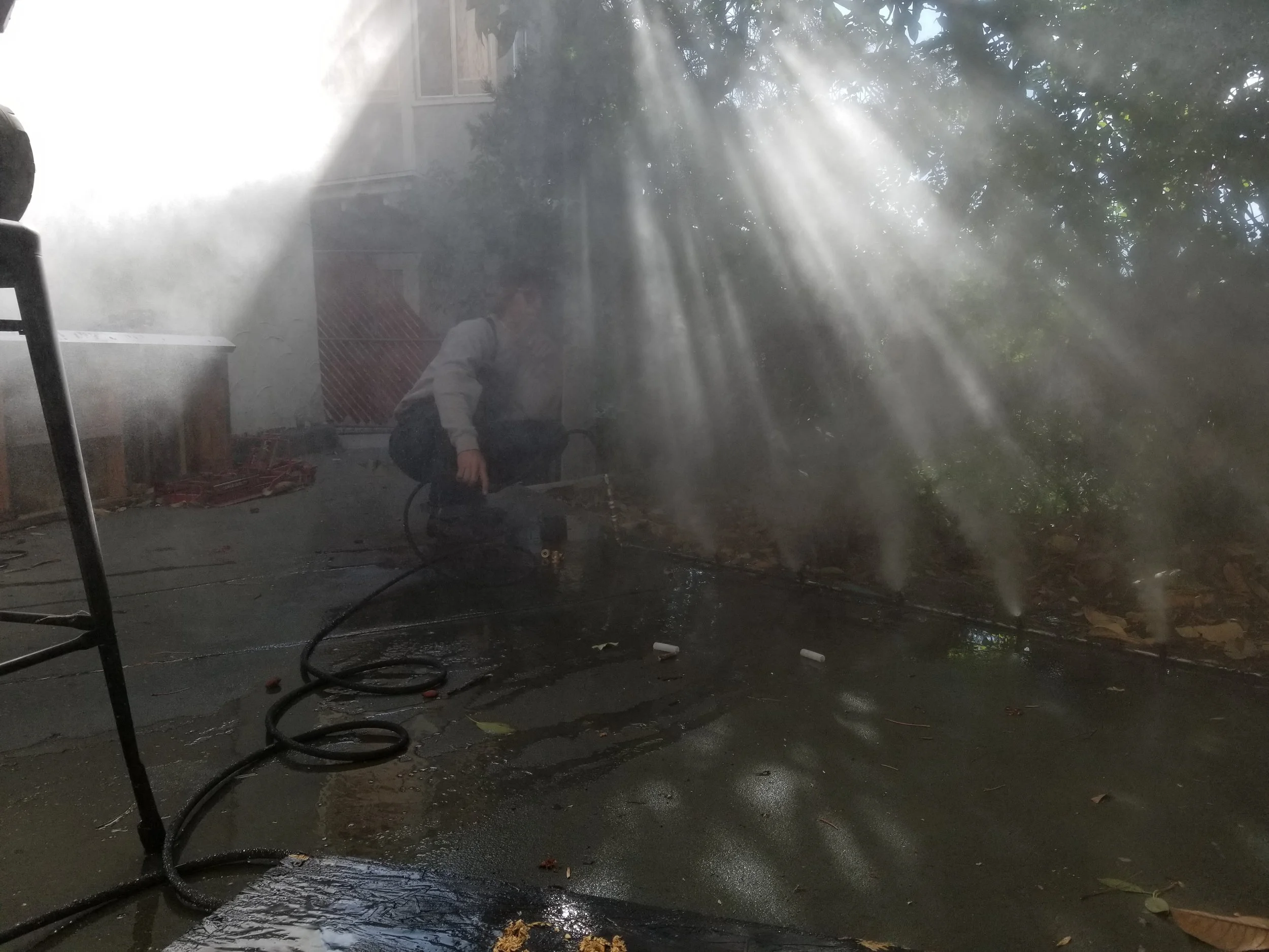 Firewirefog.jpg