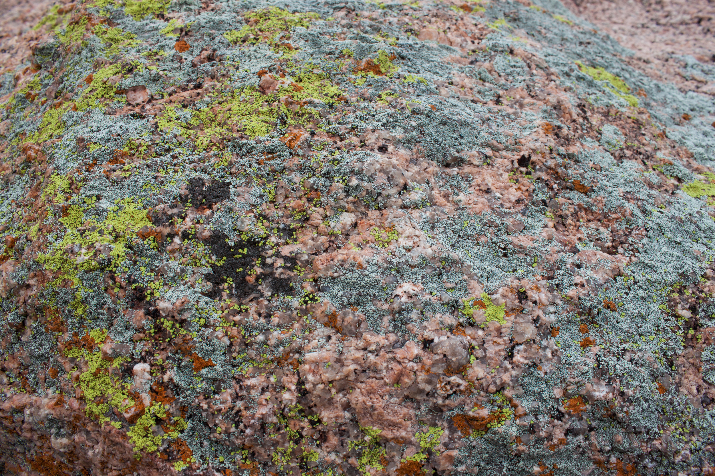 enchanted_rock-56.jpg