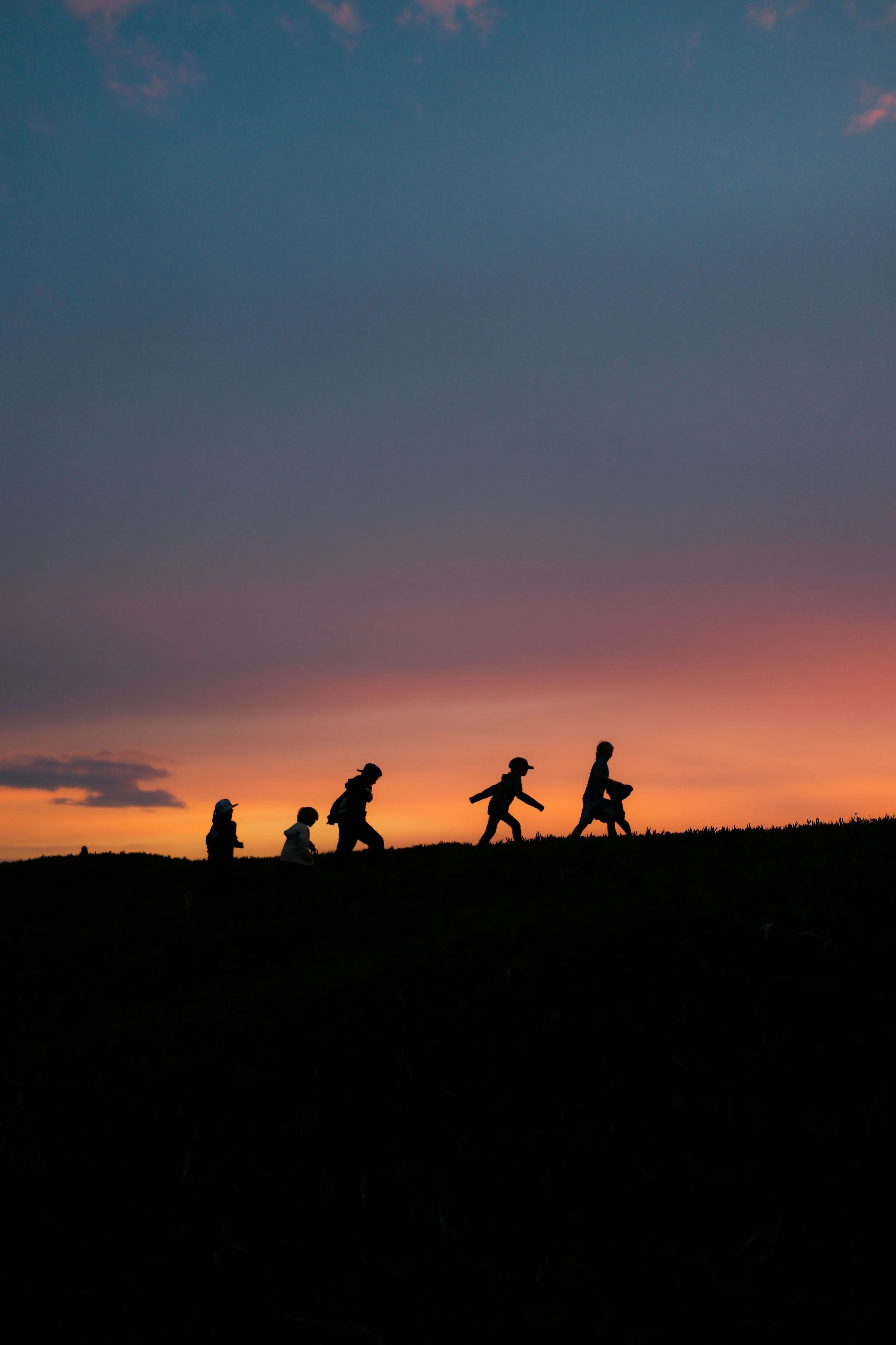 DSCF1235-1.jpg