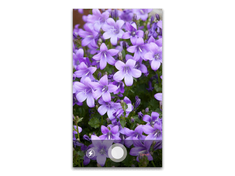 Catch Fun App allows you to take pictures of the objects you choose. With image recognition, it will read the object you pick and translate it into a voice description, because children at this age are not able to read sentences. The image will be made into the illustration, in order to practice children's matching skills. You can review all clues you’ve made, and be able to edit the description.