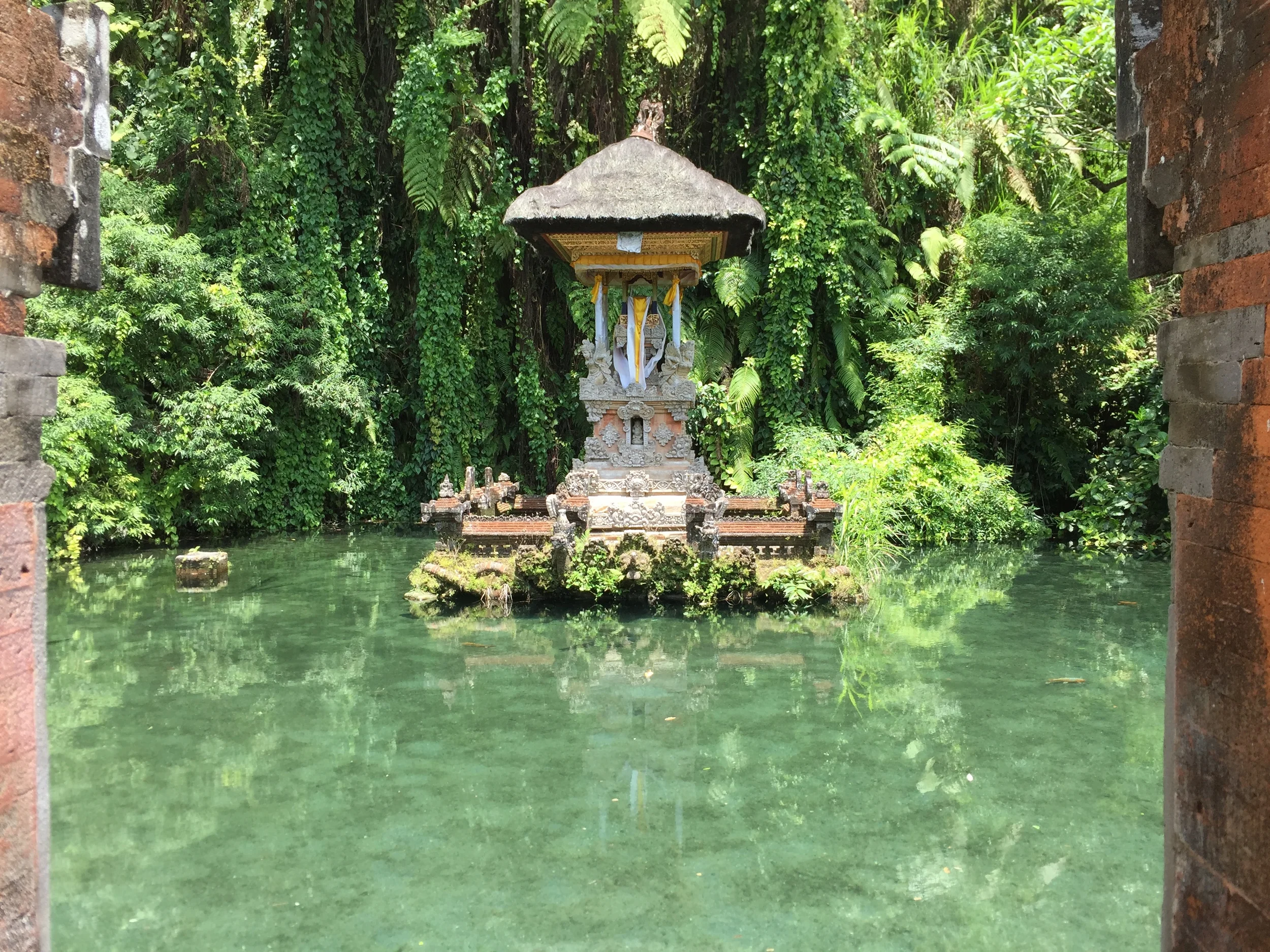 Ubud &amp; Vegan Heaven