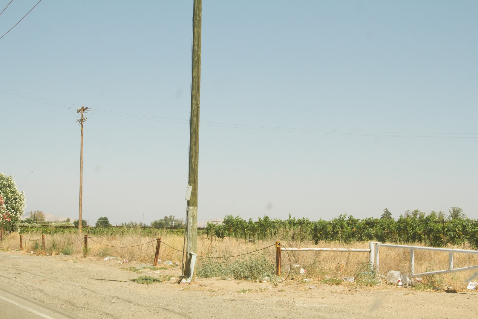 _MG_4544.jpg