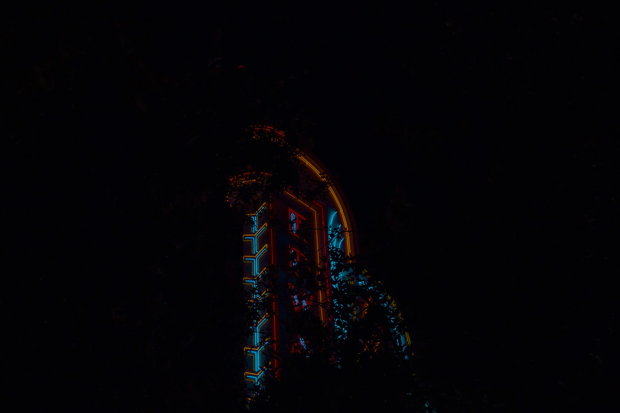 f.jpg