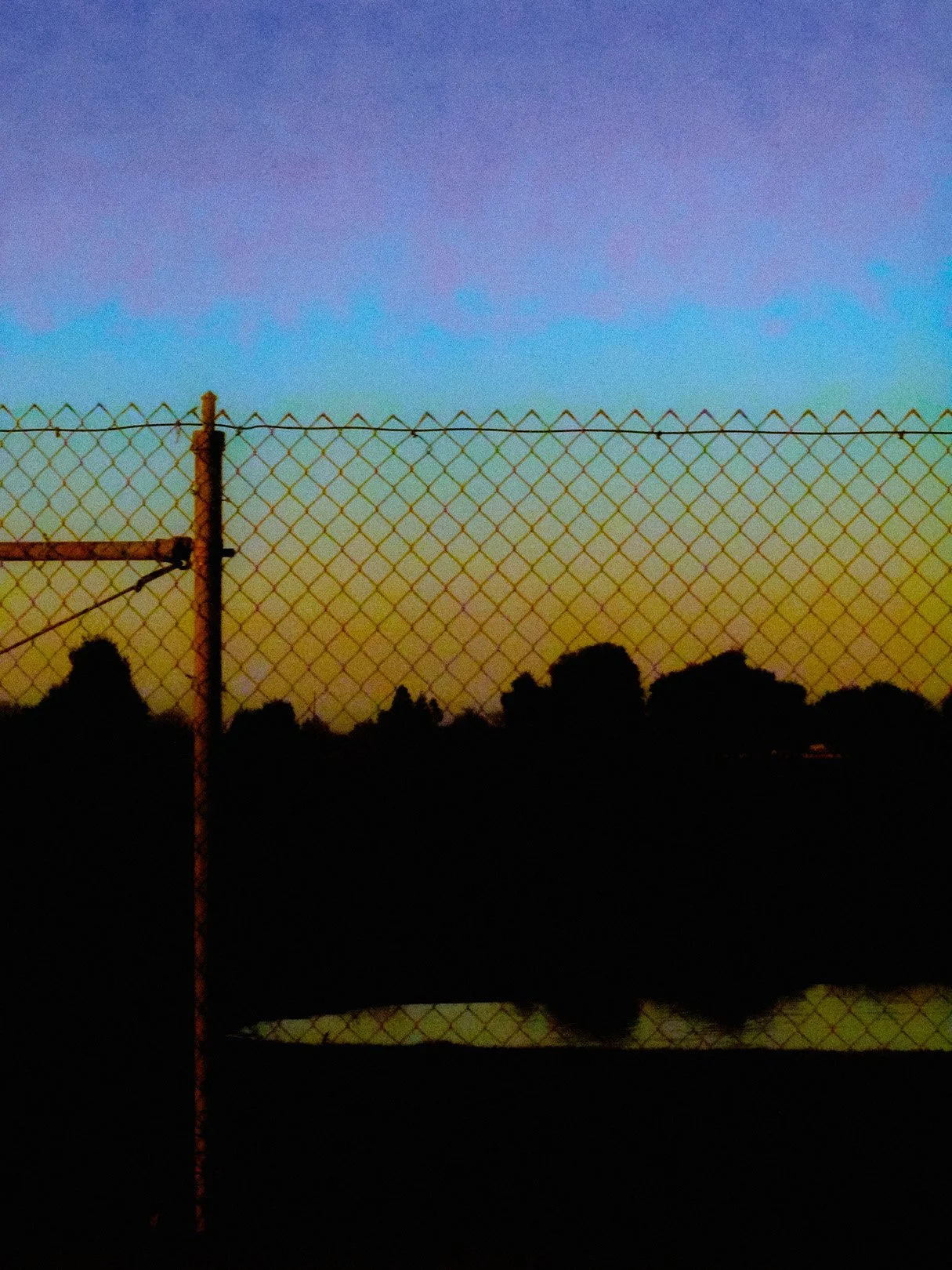 aIMG_6948.jpg