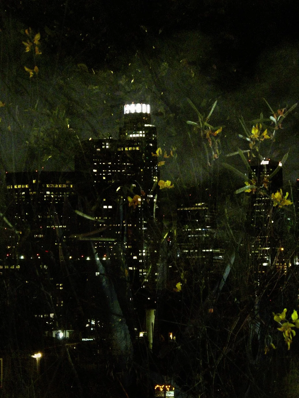 webIMG_2131e.jpg