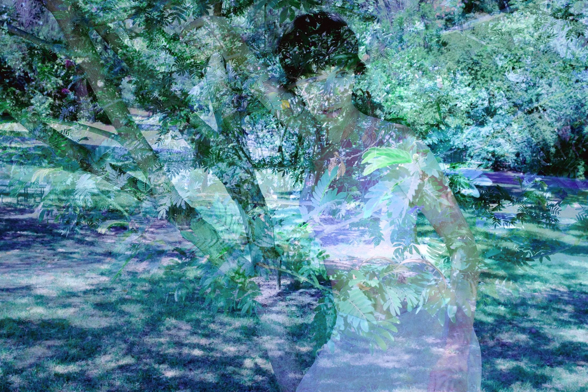 DSCF3713.jpg