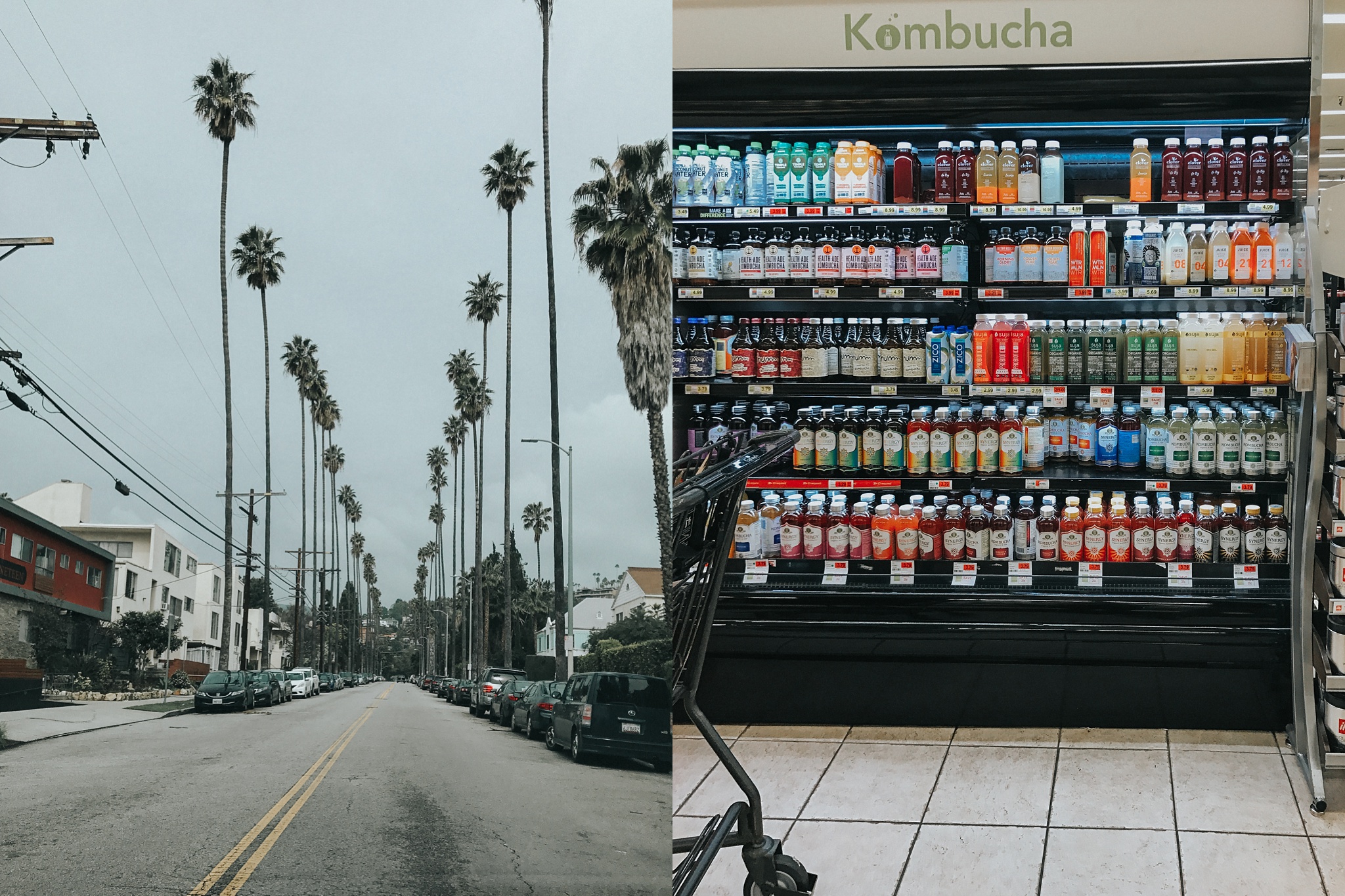 Hollywood - the land of palm trees and ALLLL the Kombucha one could want.