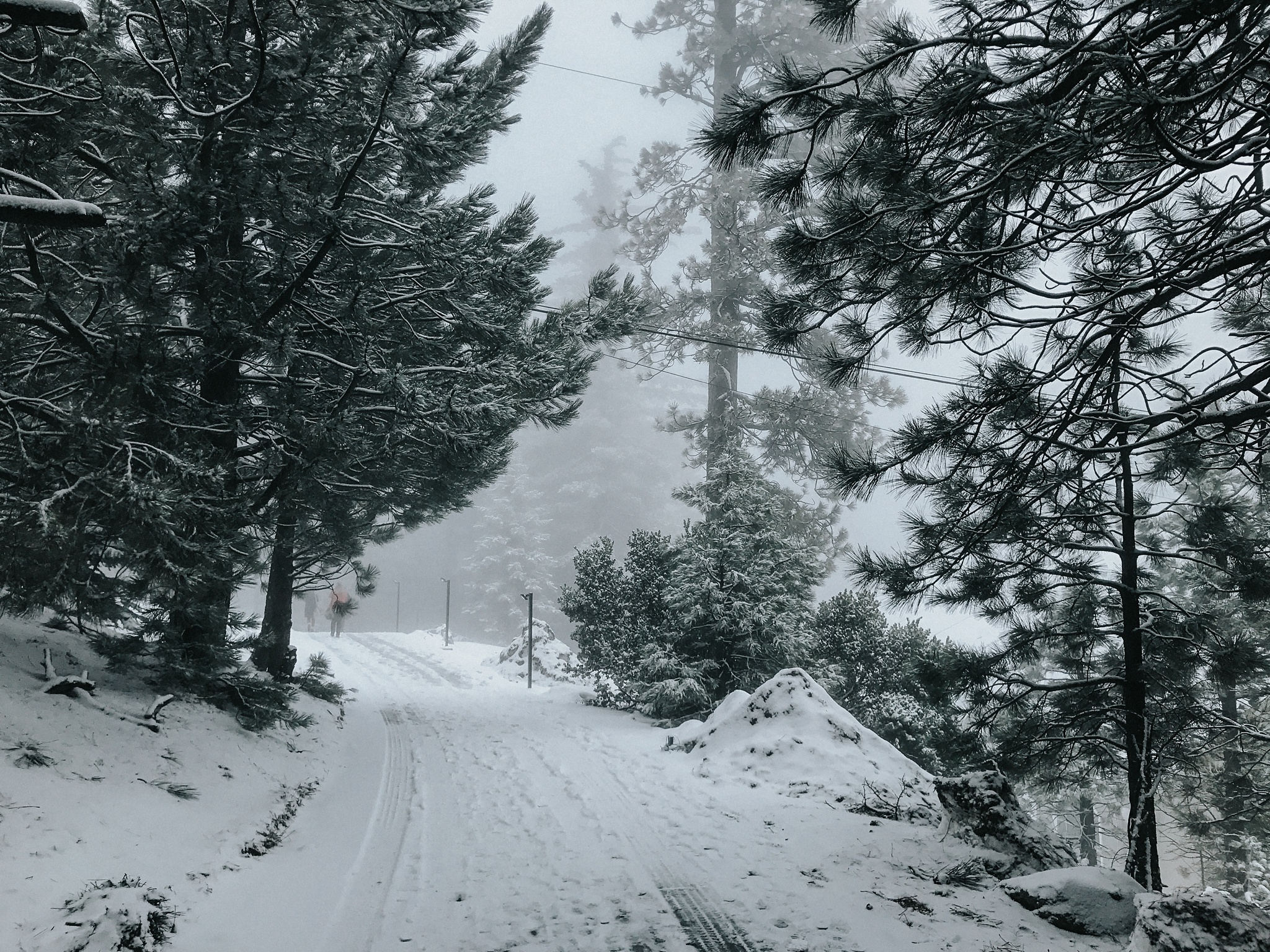 Leaving Field Trip and snowed in. 