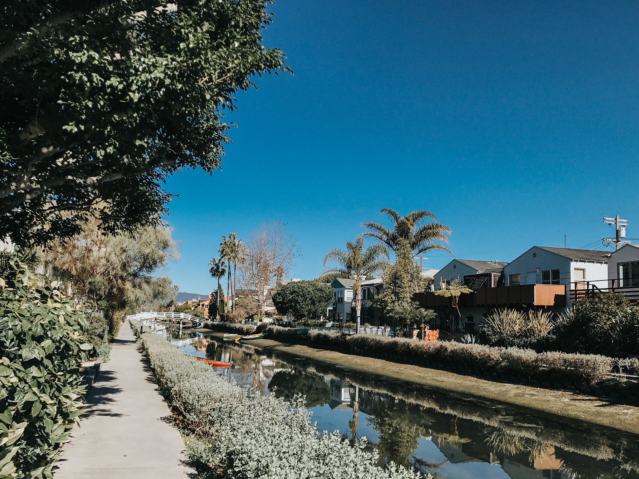 The canals were so pretty - even if it was a little more like a swap than a canal :/