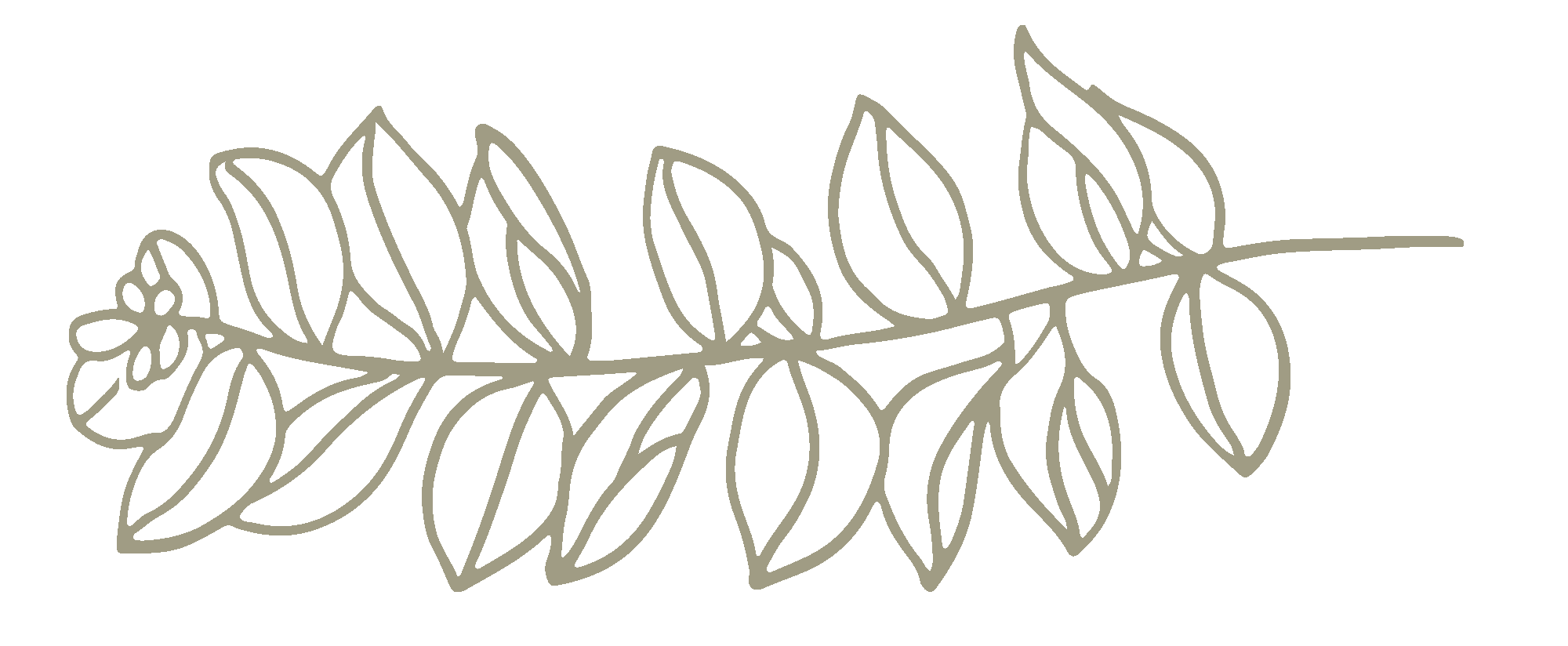 Hand drawn floral 06.png
