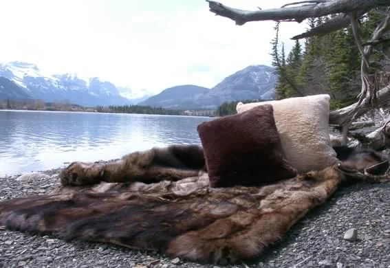 fisher throw with sheared beaver pillows, rocky lake background.jpg