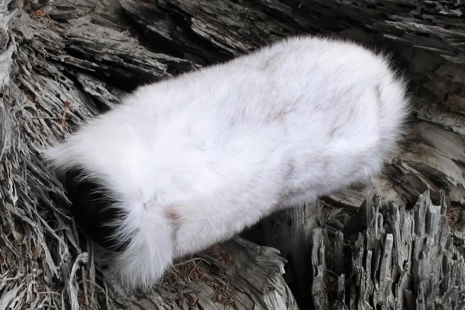 Cushion - Neck Roll - Blue Fox