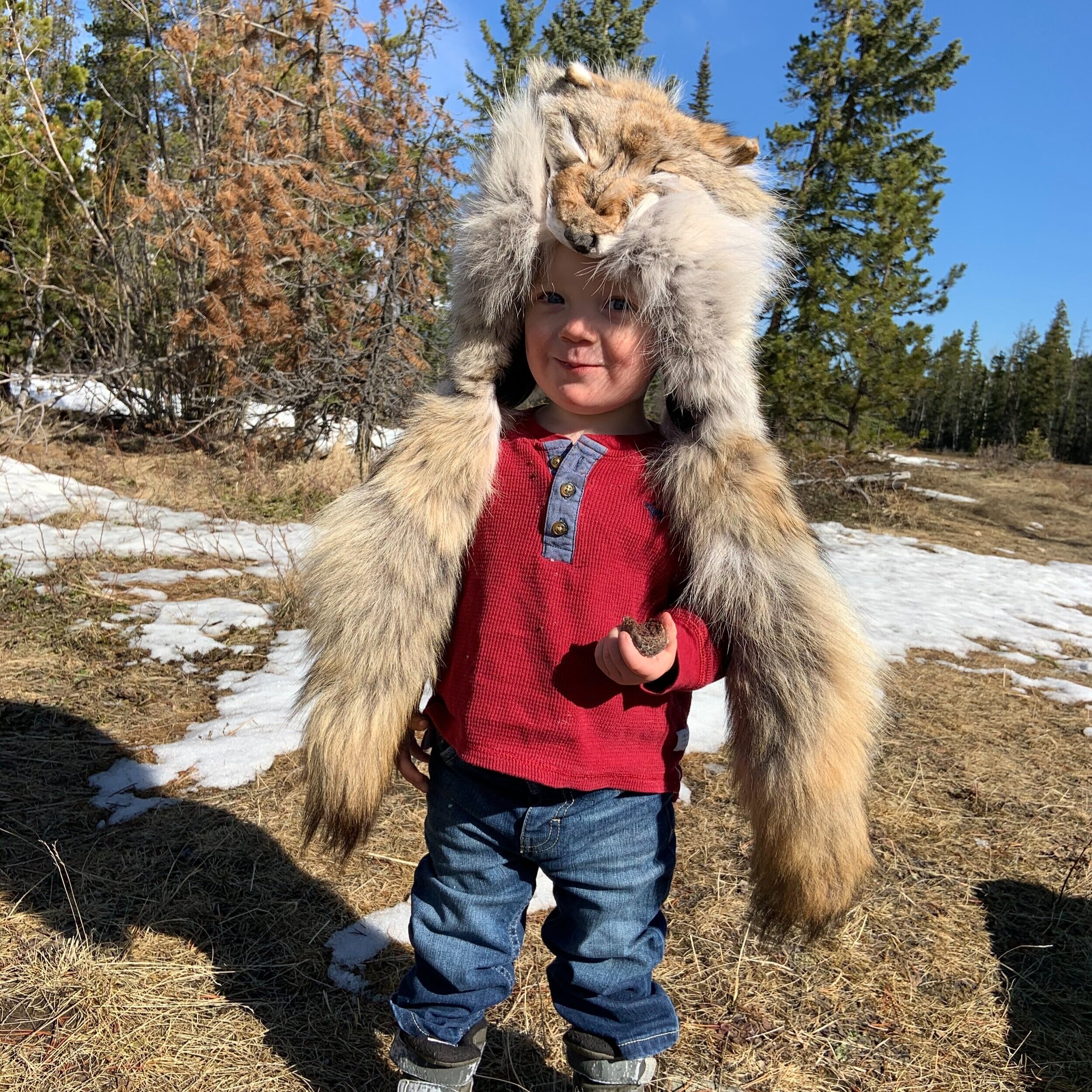 Coyote Tail/Face Hat