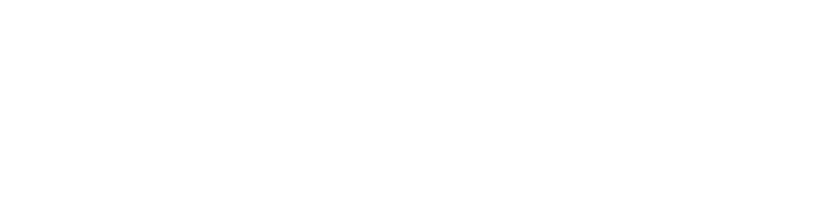 Website_Logo.png