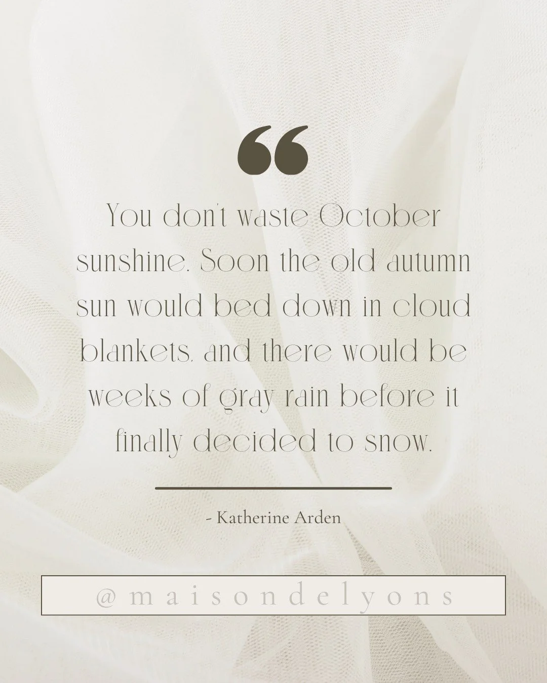 You wouldn't waste October sunshine, so why waste these golden weeks before the holiday chaos? Get your brows right while you still have time to enjoy them.