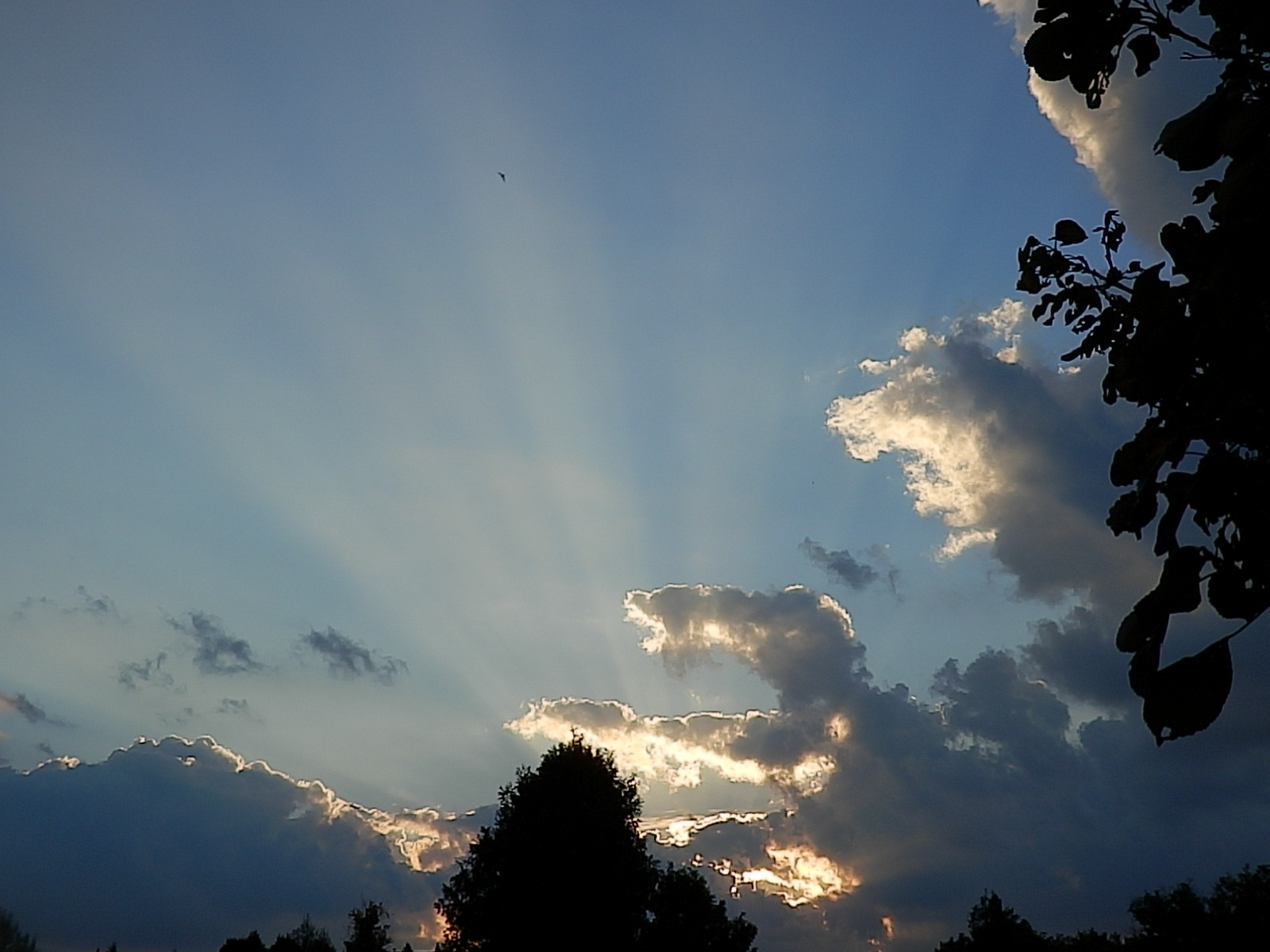 Photo credit: Sharon Faulds